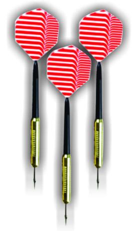 VOIT PROFESYONEL DART SETİ