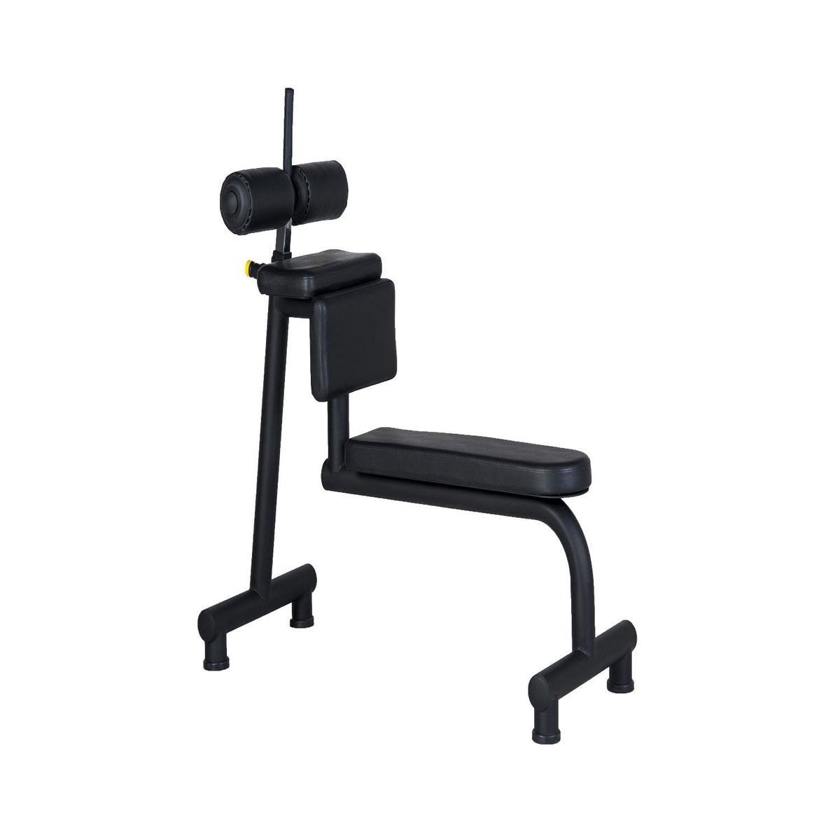PROWELLNESS BENCH LINE CRUNCH BENCH MEKİK SEHPASI