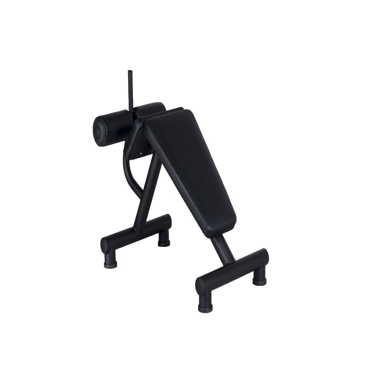 PROWELLNESS BENCH LINE ABDOMINAL BENCH MEKİK SEHPASI