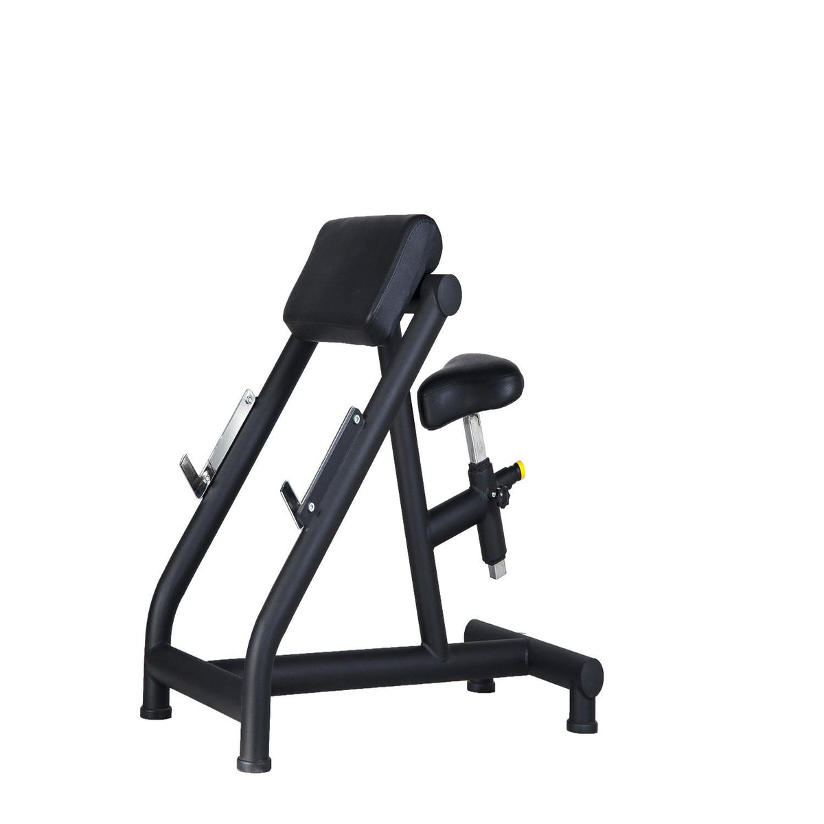 PROWELLNESS BENCH LINE SCOTT CURL BENCH ÖN KOL SEHPASI