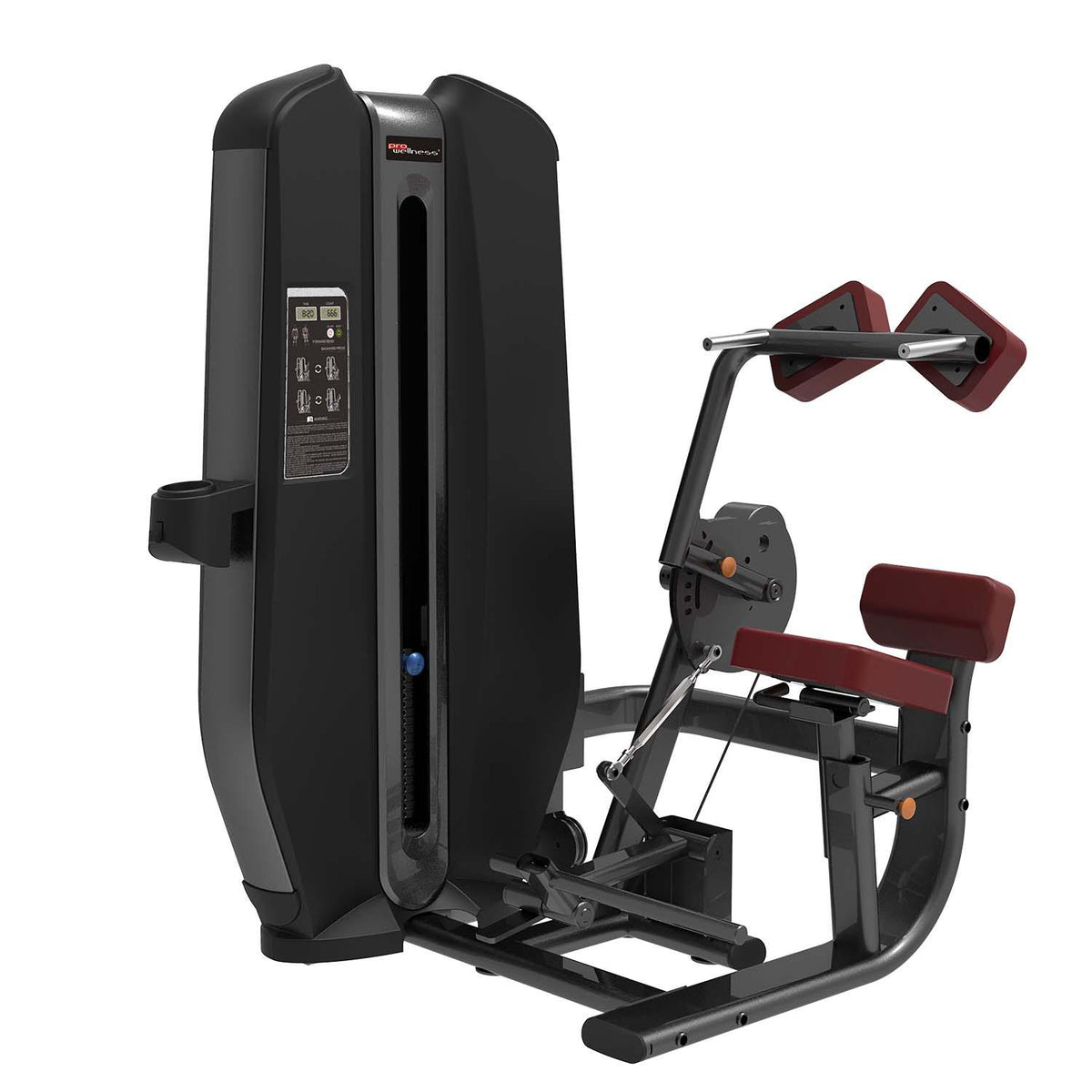 PROWELLNESS DELUXE LINE ABDOMINAL LOWER BACK COMBO KARIN VE BEL MAKİNESİ