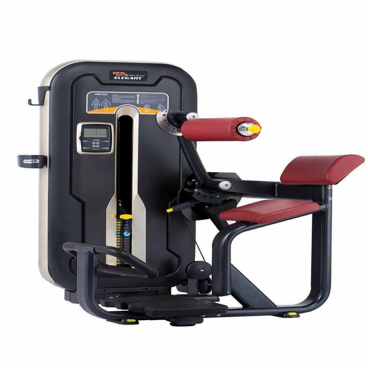 PROWELLNESS ELEGANT SERIES LOWER BACK BEL MAKİNESİ