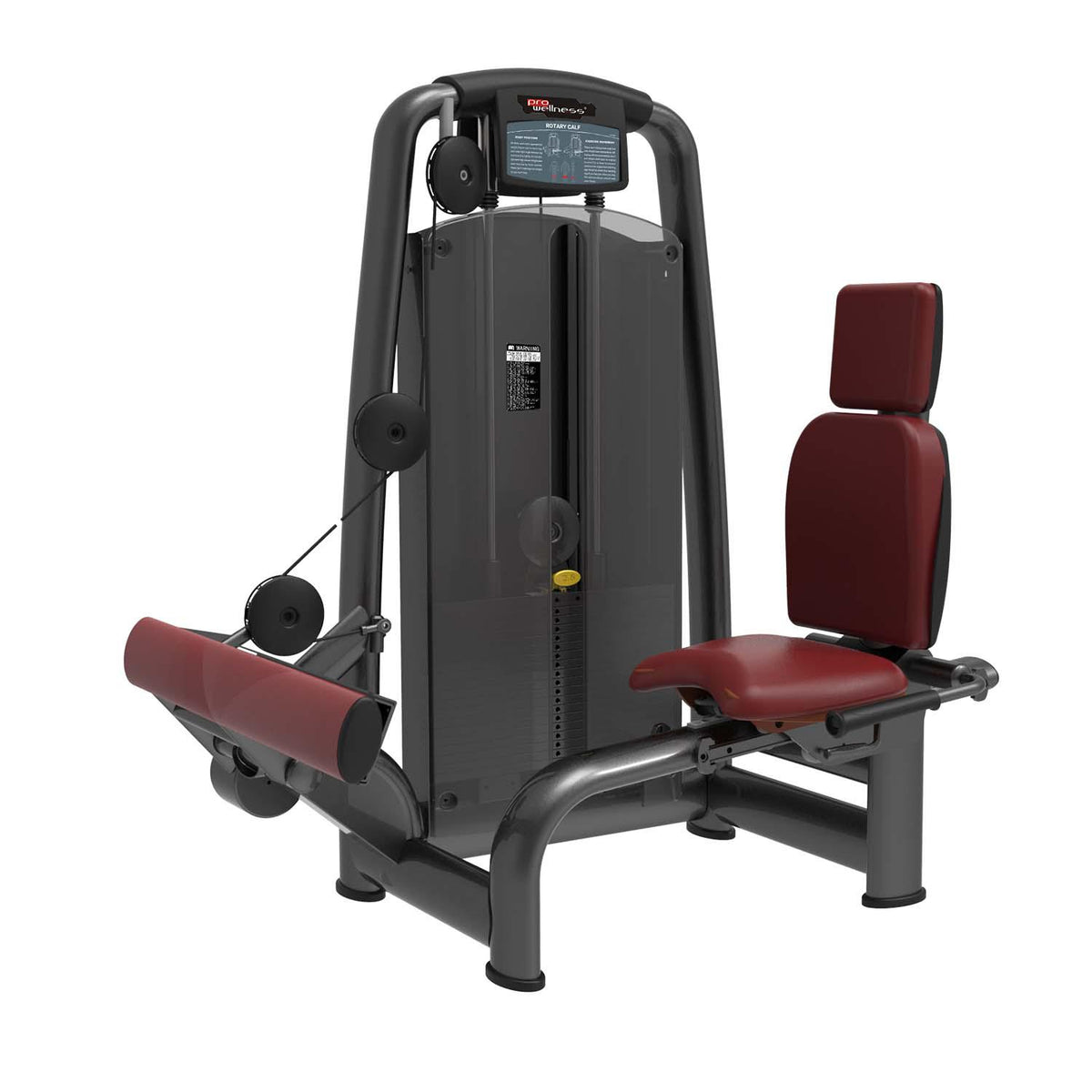 PROWELLNESS FIT LINE ROTARY CALF BALDIR MAKİNESİ