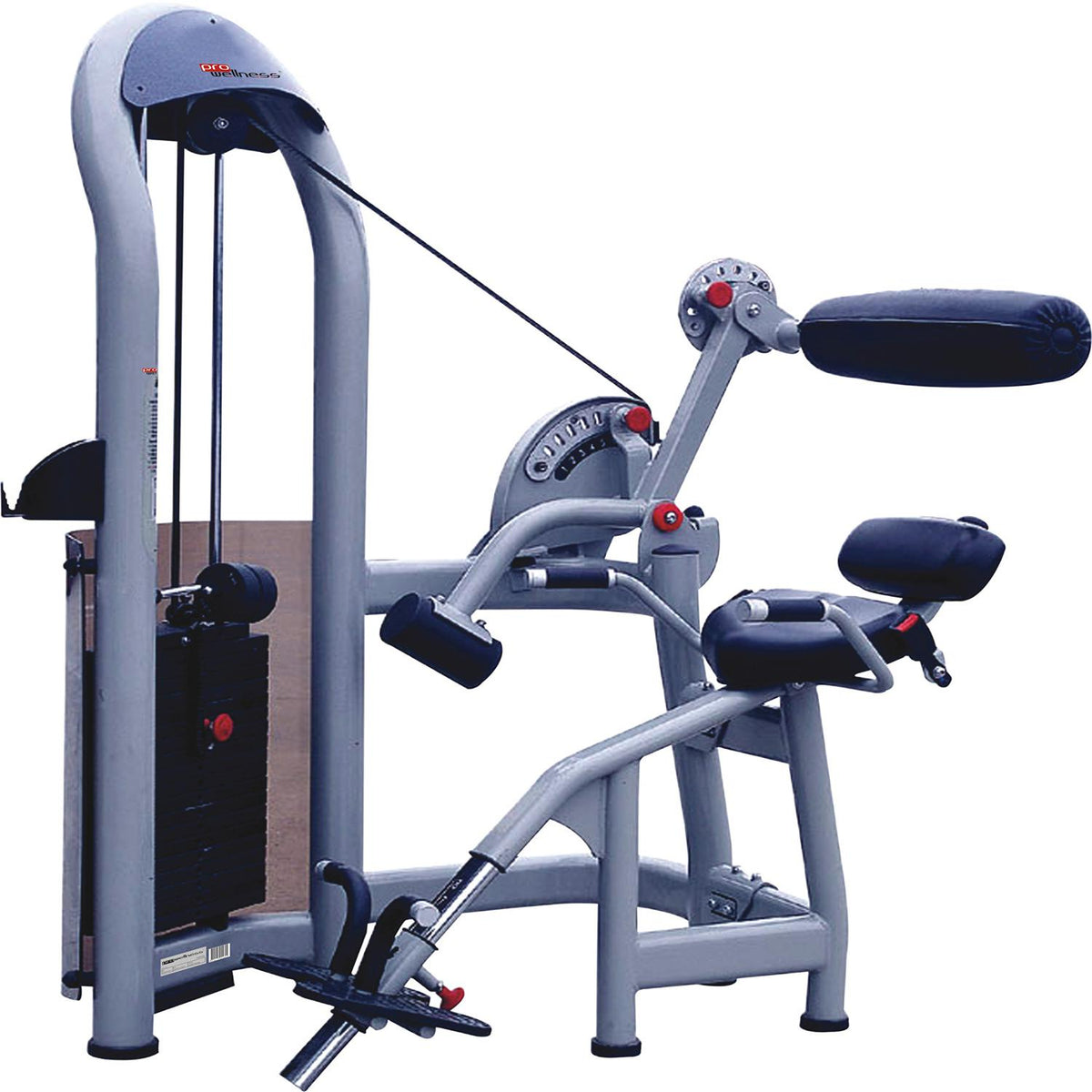 PROWELLNESS LX SERIES BACK EXTENSION