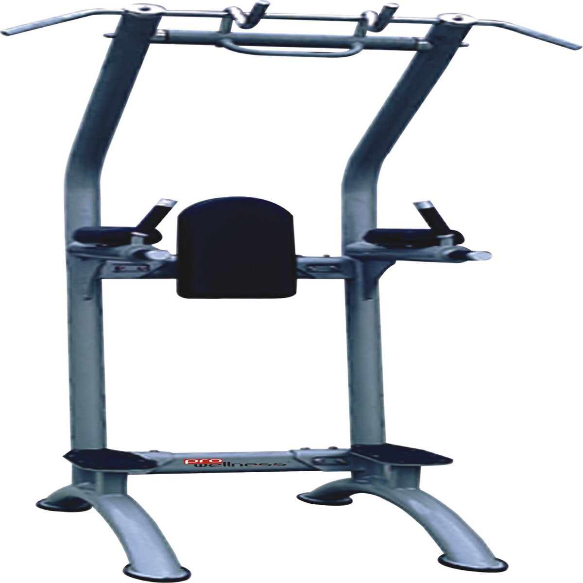 PROWELLNESS LX SERIES PULL UP DIP LEG RAISE
