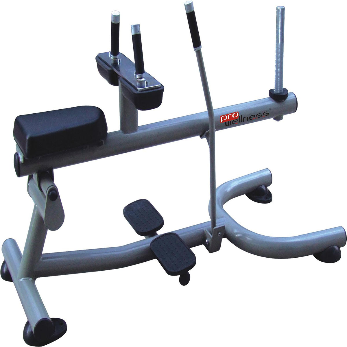 PROWELLNESS LX SERIES SEATED CALF