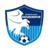 Büyükşehir Belediye Erzurumspor